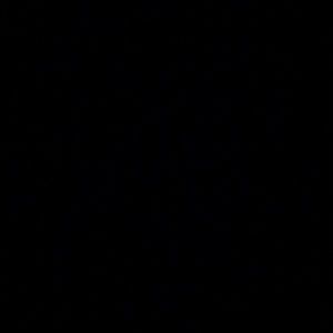 Meet your Posher, Jackson